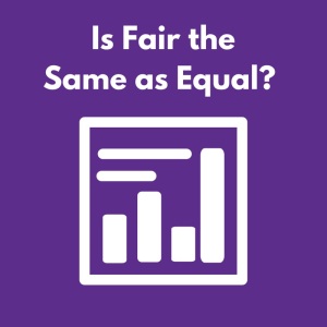 Is Fair the Same as Equal-